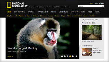 手机号短信轰在线轰炸免费软件